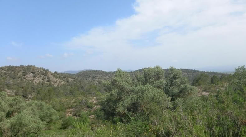 Tarragona - Miravet - 10047m2