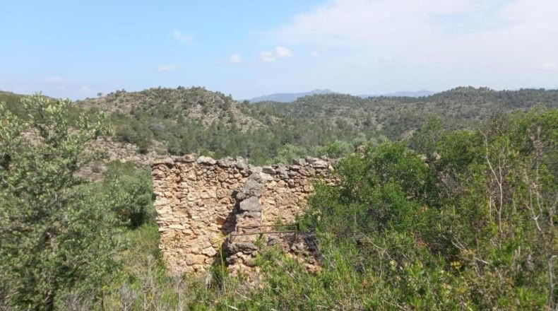 Tarragona - Miravet - 10047m2