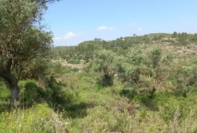 Miravet 10047&nbsp;m² 