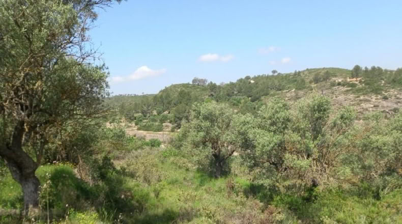 Tarragona - Miravet - 10047m2
