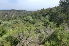 Miravet 10047&nbsp;m² 