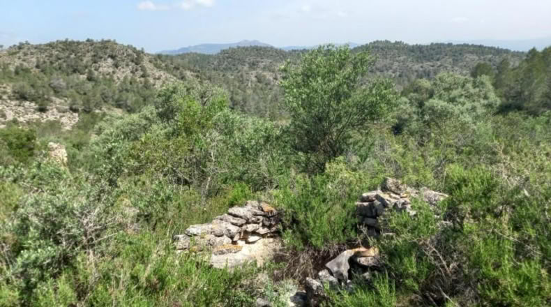 Tarragona - Miravet - 10047m2