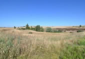 Non-developable land for sale on España, Almenara de Tormes, ref: TR165467 photo