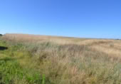 Non-developable land for sale on España, Almenara de Tormes, ref: TR165467 photo