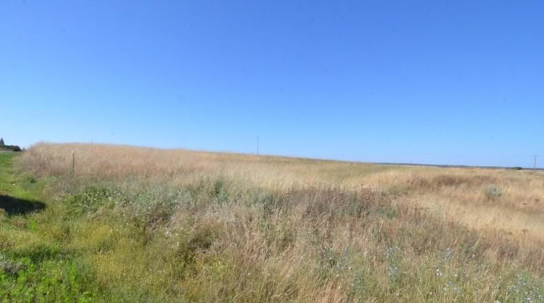Salamanca - Almenara de Tormes - 3231m2