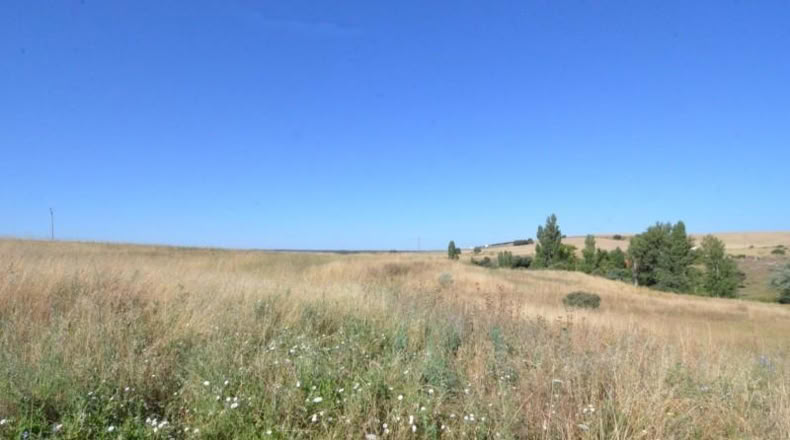 Salamanca - Almenara de Tormes - 3231m2