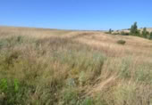 Non-developable land for sale on España, Almenara de Tormes, ref: TR165467 photo