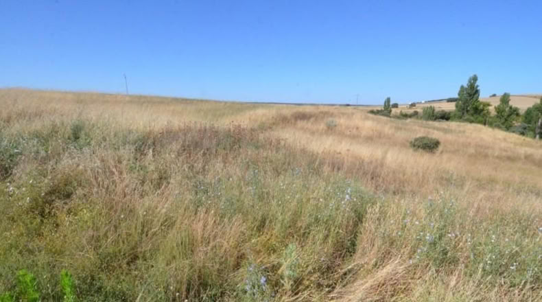 Salamanca - Almenara de Tormes - 3231m2