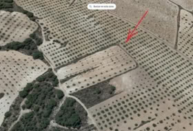 Montealegre del Castillo 7263&nbsp;м²