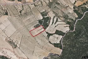 Montealegre del Castillo 7263&nbsp;м²