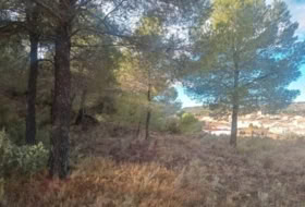 Foto 6