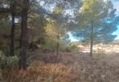 Xalet independent amb terreny en venda a la España, la Vall del Tormo, ref.: TR299504 foto