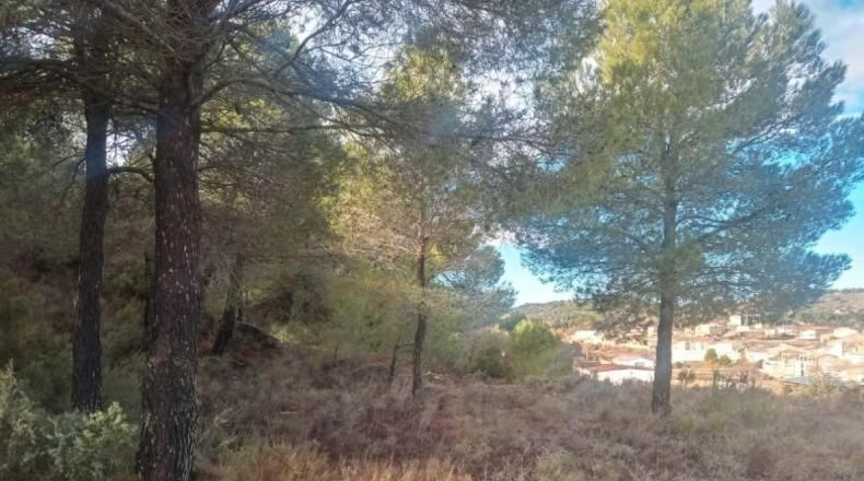 Teruel - la Vall del Tormo - 140m2