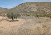 Parcel·la urbanitzable en venda a la España, Oriola, ref.: TR305973 foto