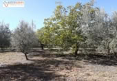 Terreny no urbanitzable en venda a la España, Xèrica, ref.: TR178404 foto