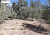 Terreny no urbanitzable en venda a la España, Xèrica, ref.: TR178404 foto
