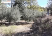 Terreny no urbanitzable en venda a la España, Xèrica, ref.: TR178404 foto