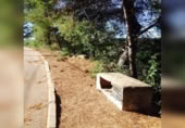 Sòl urbà en venda a la España, la Bisbal del Penedès, ref.: TR319400 foto