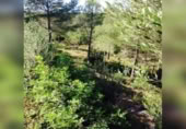 Sòl urbà en venda a la España, la Bisbal del Penedès, ref.: TR319400 foto