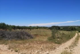 la Vall d'Alba 5718&nbsp;m² 