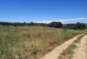 la Vall d'Alba 5718&nbsp;m² 