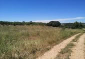 Terreny no urbanitzable en venda a la España, la Vall d'Alba, ref.: TR121904 foto