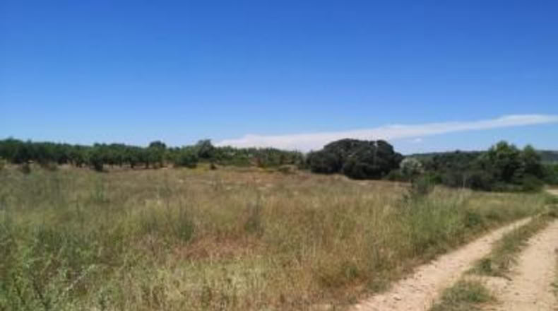 Castellón - Vall d'Alba - 5718m2