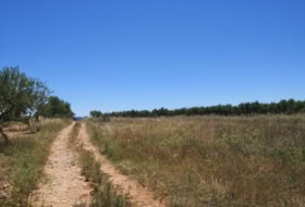 la Vall d'Alba 5718&nbsp;m² 