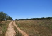 Terreny no urbanitzable en venda a la España, la Vall d'Alba, ref.: TR121904 foto