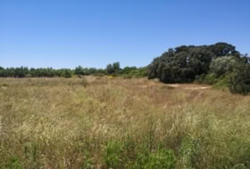 la Vall d'Alba 5718&nbsp;m² 