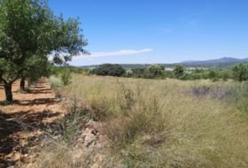 la Vall d'Alba 5718&nbsp;m² 