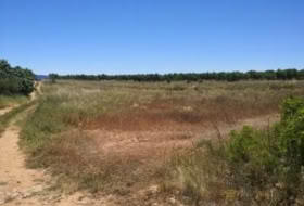 la Vall d'Alba 5718&nbsp;m² 
