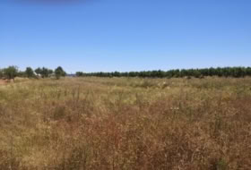la Vall d'Alba 5718&nbsp;m² 