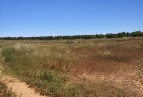 la Vall d'Alba 5718&nbsp;m² 