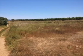 la Vall d'Alba 5718&nbsp;m² 