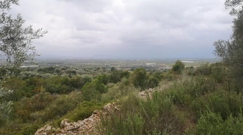Tarragona - Ulldecona - 6122m2