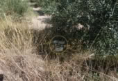 Non-developable land for sale on España, Ontinyent, ref: TR348935 photo