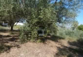 Non-developable land for sale on España, Ontinyent, ref: TR348935 photo