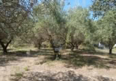 Non-developable land for sale on España, Ontinyent, ref: TR348935 photo