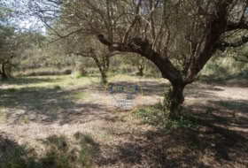 Foto 7