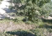 Non-developable land for sale on España, Ontinyent, ref: TR348935 photo