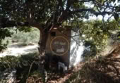 Non-developable land for sale on España, Ontinyent, ref: TR348935 photo
