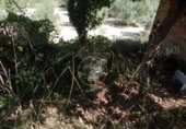 Non-developable land for sale on España, Ontinyent, ref: TR348935 photo