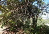 Non-developable land for sale on España, Ontinyent, ref: TR348935 photo