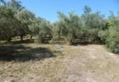 Non-developable land for sale on España, Ontinyent, ref: TR348935 photo