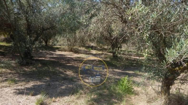 Валенсия - Onteniente - 2650m2
