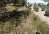 Non-developable land for sale on España, Ontinyent, ref: TR348935 photo