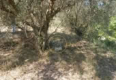 Non-developable land for sale on España, Ontinyent, ref: TR348935 photo