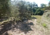 Non-developable land for sale on España, Ontinyent, ref: TR348935 photo