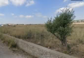 Terreny no urbanitzable en venda a la España, Castelló de la Plana, ref.: TR236792 foto